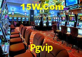 Experiência VIP Pgvip